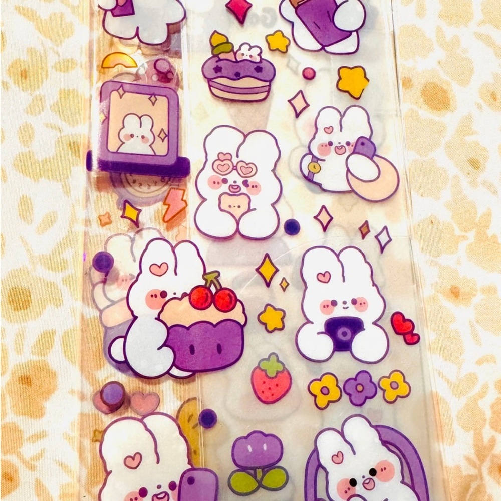Bunny Hobonichi weeks clear cover planner cover agenda cover New
